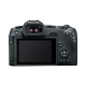 Canon | EOS R8 Mirrorless Camera Body (AIP) | Megapixel 24.2 MP | Image stabilizer | ISO sensitivity (max) 102400 | Display diagonal 3 