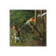BLACK & DECKER | PS7525 | Brushcutter | 800 W | 210-240 V