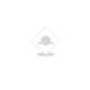 Lexmark | CX930 | 2 year(s) | Parts Only | Warranty