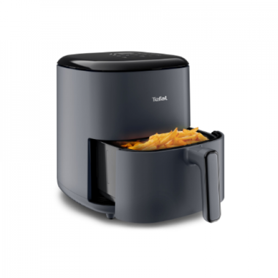 EY245B10 | TEFAL