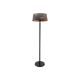 TunaBone Electric Standing Patio Heater, Double clear halogen heating lamps | TB1821SH-01 | Patio heater | 2100 W | Black