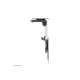 Neomounts FPMA-C020BLACK Monitor/TV Mount Ceiling | Adjustable Height, Tilt | 10-40 