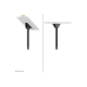Neomounts NM-C440DBLACK Dual monitor/TV mount ceiling | Adjustable Height, Rotate, Tilt, Swivel | 32-60 