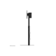 Neomounts Floor stand | FL45S-825BL1 TV floor stand | Adjustable Height, Tilt | 37-75 
