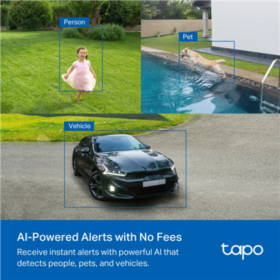TP-Link Tapo C425 KIT Solar-Powered Security Camera Kit | TP-LINK