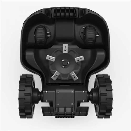 MamMotion