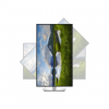 Dell LCD P3225QE 32