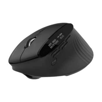 Acer Smart Fit Vertical Mouse, retail pack
