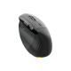 Acer Smart Fit Vertical Mouse, retail pack