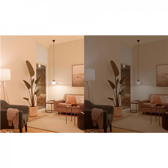 Philips Smart WFB 100W A60 E27 822-65 RGB 1PF/6 | Philips Smart