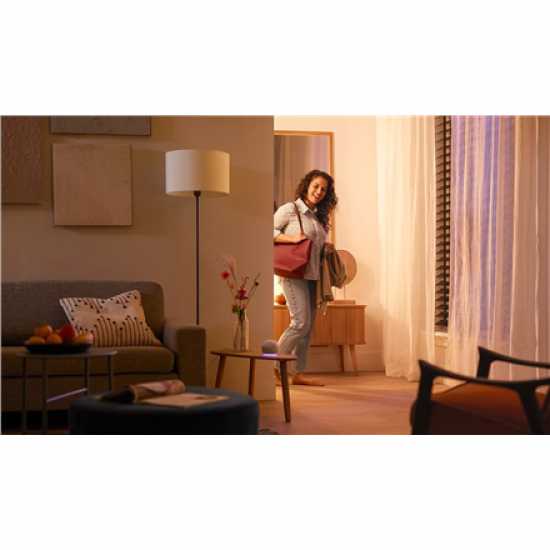Philips Smart WFB 100W A60 E27 822-65 RGB 1PF/6 | Philips Smart