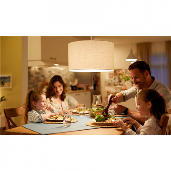 Philips Smart WFB 100W A60 E27 822-65 RGB 1PF/6 | Philips Smart