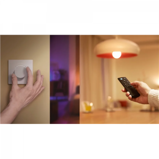 Philips Smart Smart Plug powermeter Type-F 2PK | Philips Smart