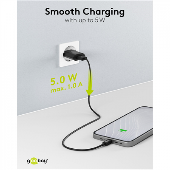 Goobay 44949 5 W USB-A Charger, Black