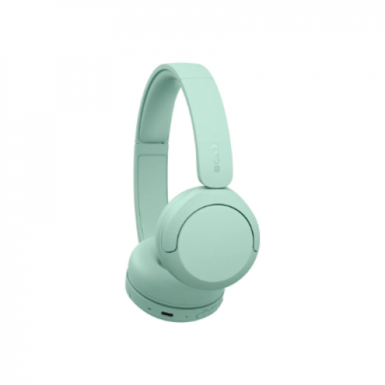 Sony WH-CH530 Wireless Bluetooth Headphones - Mint | Sony
