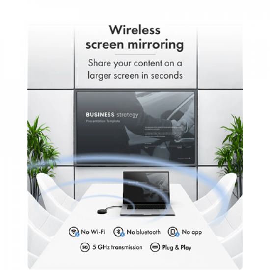 Raidsonic Wireless USB-C to HDMI Video Transmission System | IB-WL101