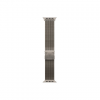 APPLE 49mm Natural Titanium Milanese Loop - Large