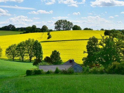 Vidēja gaisa temperatūra Latvija