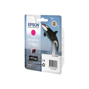 Epson T7603 | Ink Cartridge | Magenta
