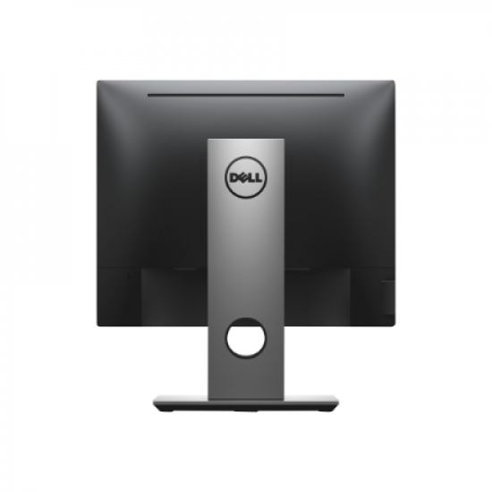 Dell | Professional | P1917S | 19 