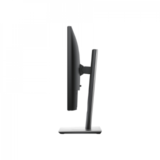 Dell | Professional | P1917S | 19 