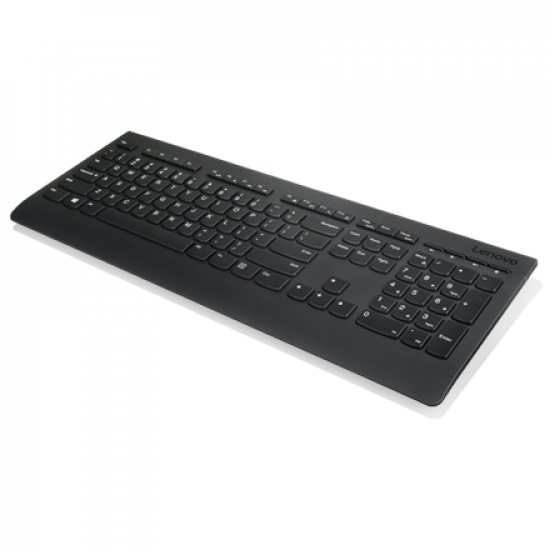 Lenovo | Professional | Professional Wireless Keyboard and Mouse Combo - US English with Euro symbol | Keyboard and Mouse Set | Wireless | Mouse included | US | Black | US English | Numeric keypad | Wireless connection