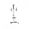 Logilink BP0025 TV stand cart, adjustable TV height, 37–70“, max. 50 kg | Logilink | Floor stand | BP0025 | 30-70 