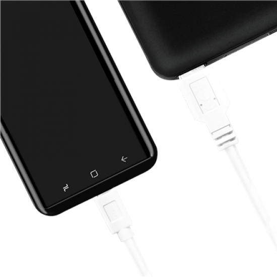 Logilink | USB 3.2 Gen 1x1 Cable | CU0175 | USB-C to USB-A USB-C Male | USB-A Male