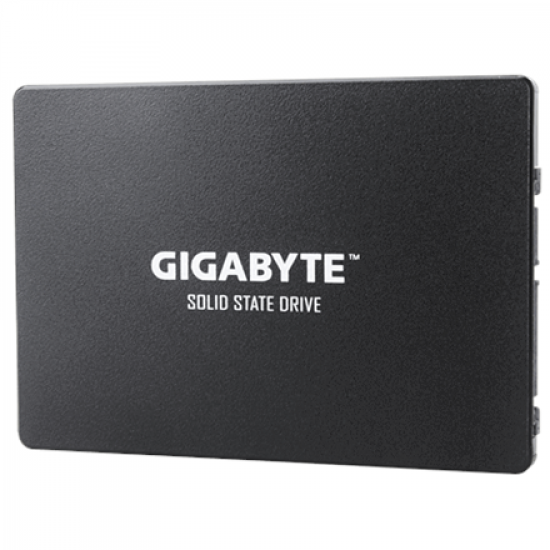 Gigabyte | GP-GSTFS31256GTND | 256 GB | Solid-state drive interface SATA | Read speed 520 MB/s | Write speed 500 MB/s
