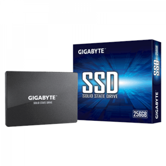 Gigabyte | GP-GSTFS31256GTND | 256 GB | Solid-state drive interface SATA | Read speed 520 MB/s | Write speed 500 MB/s