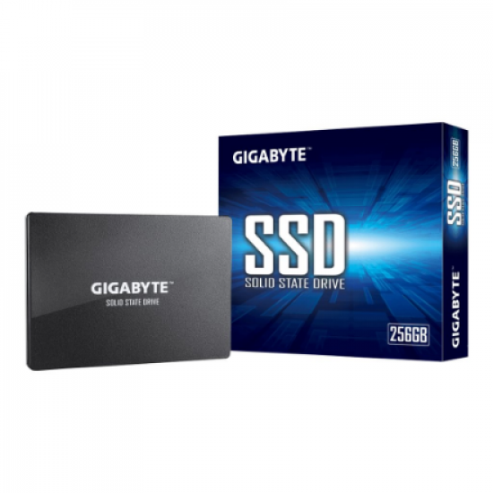Gigabyte | GP-GSTFS31256GTND | 256 GB | Solid-state drive interface SATA | Read speed 520 MB/s | Write speed 500 MB/s