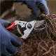 Felco | One-hand pruning shear | FELCO 14