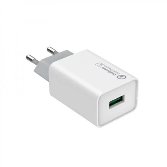 ColorWay | AC Charger | 1USB Quick Charge 3.0 | 1xUSB