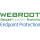 Webroot | Business Endpoint Protection with GSM Console | Antivirus Business Edition | 2 year(s) | License quantity 10-99 user(s)