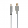 Cablexpert | CCP-USB2-AMBM-6G | USB 2.0 A-plug B-plug 6ft cable