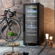 Caso | Smart Wine Cooler | WineExclusive 38 | Energy efficiency class G | Showcase | Free standing | Bottles capacity 38 bottles | Cooling type Compressor technology | Black