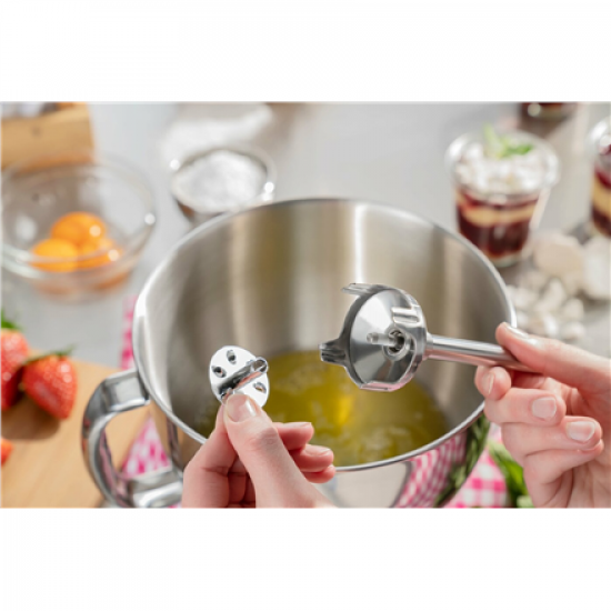 Caso | Blender | HB 2400 Pro XL | Hand Blender | 350 W | Stainless steel