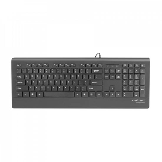 Natec Keyboard, Barracuda, US Layout, Slim | Natec | Keyboard | Barracuda | Standard | Wired | US | Black | 529 g