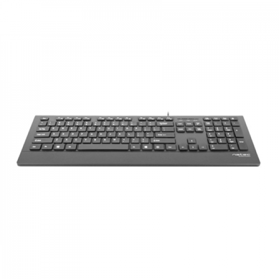 Natec Keyboard, Barracuda, US Layout, Slim | Natec | Keyboard | Barracuda | Standard | Wired | US | Black | 529 g