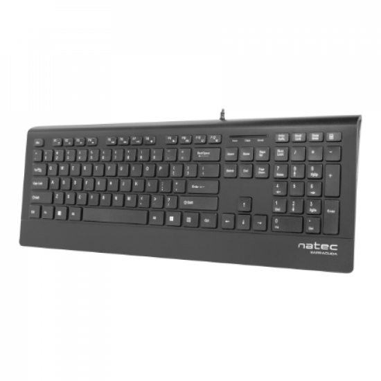 Natec Keyboard, Barracuda, US Layout, Slim | Natec | Keyboard | Barracuda | Standard | Wired | US | Black | 529 g