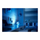 Philips Hue | Hue Iris Portable Lamp, Silver Special Edition | Silver | Portable lamp