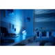 Philips Hue | Hue Iris Portable Lamp, Silver Special Edition | Silver | Portable lamp