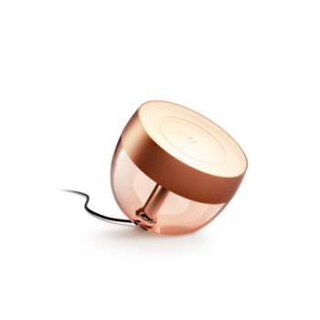 Philips Hue | Hue Iris Portable Lamp, Copper Special Edition | Copper/brass | Portable lamp