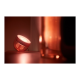 Philips Hue | Hue Iris Portable Lamp, Copper Special Edition | Copper/brass | Portable lamp