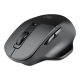 Natec Mouse, BlackBird 2, Silent, Wireless, 1600 DPI, Optical, Black | Natec | Mouse | Optical | Wireless | Black/Gray | BlackBird 2