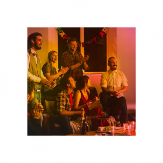 TP-LINK | Light Strip | Tapo L920-5 | IEEE 802.11 b/g/n | Multicolor