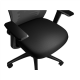 Genesis Ergonomic Chair Astat 200 Base material Nylon; Castors material: Nylon with CareGlide coating | Black