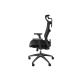 Genesis Ergonomic Chair Astat 200 Base material Nylon; Castors material: Nylon with CareGlide coating | Black