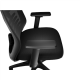 Genesis Ergonomic Chair Astat 200 Base material Nylon; Castors material: Nylon with CareGlide coating | Black