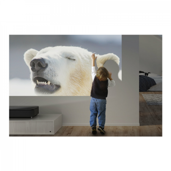 Epson | EH-LS800W | 4K PRO-UHD 3840 x 2160 (2 x 1920 x 1080) | 4000 ANSI lumens | Black | Lamp warranty 12 month(s)